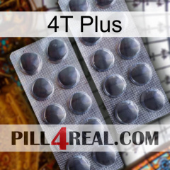 4T Plus 31